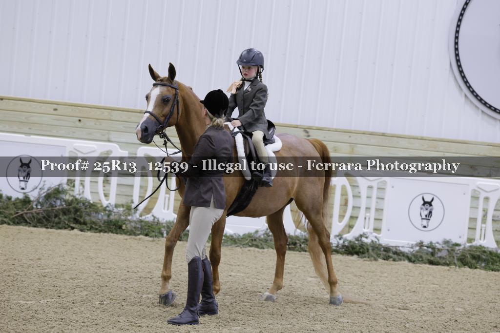 Proof 25R13_12539