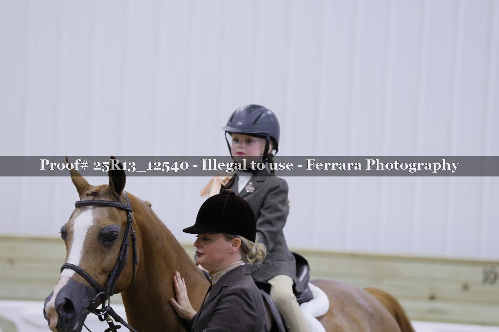 Proof 25R13_12540