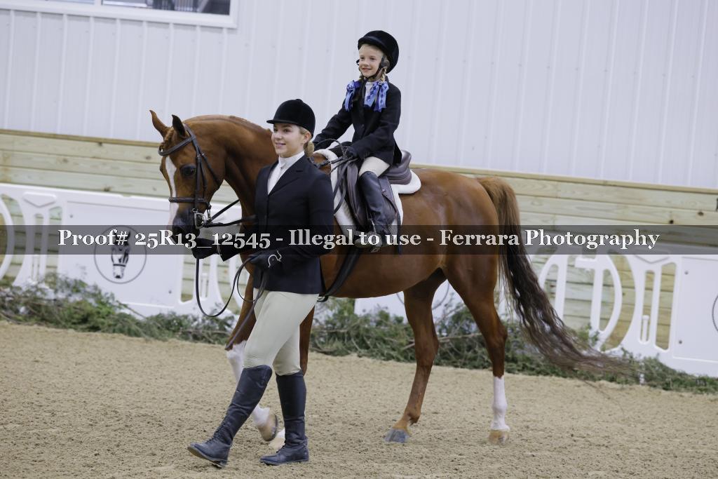 Proof 25R13_12545