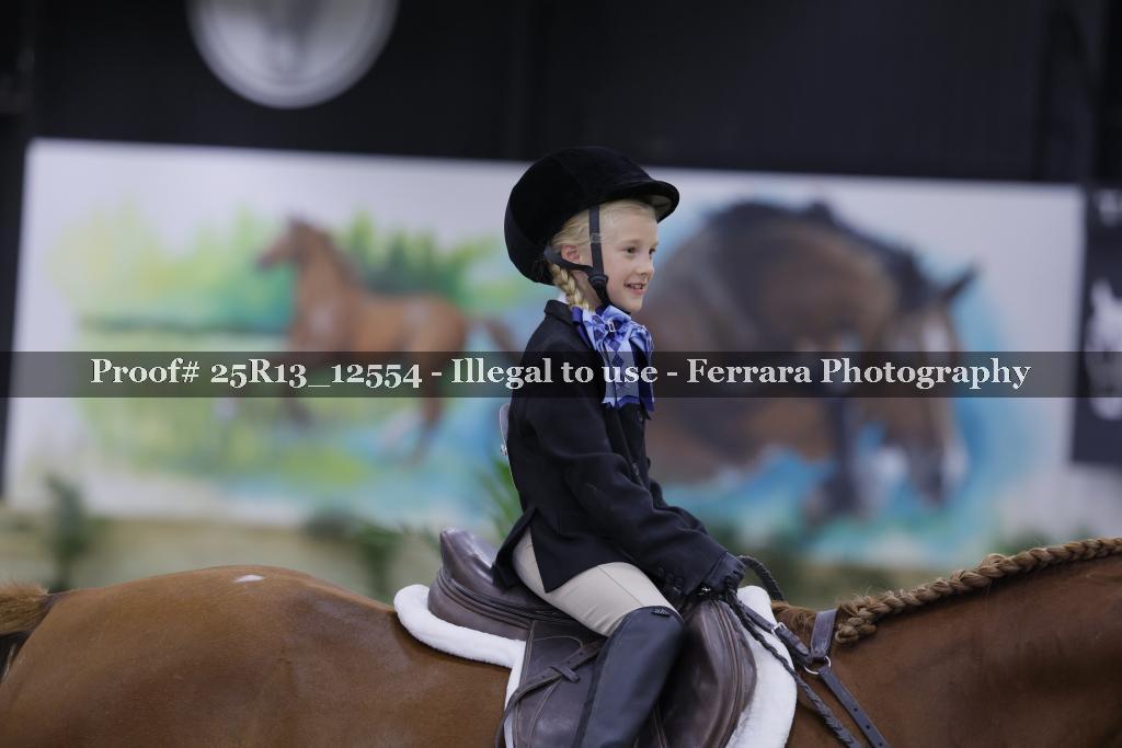 Proof 25R13_12554