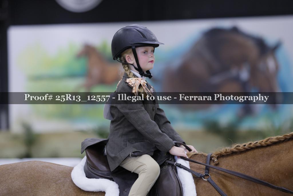 Proof 25R13_12557