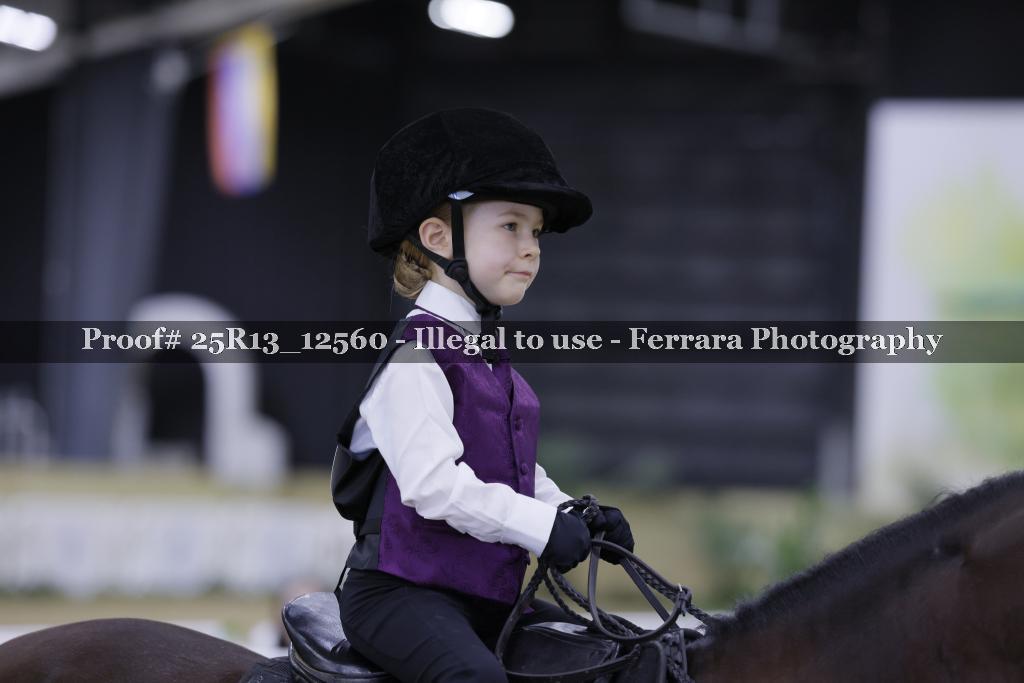 Proof 25R13_12560