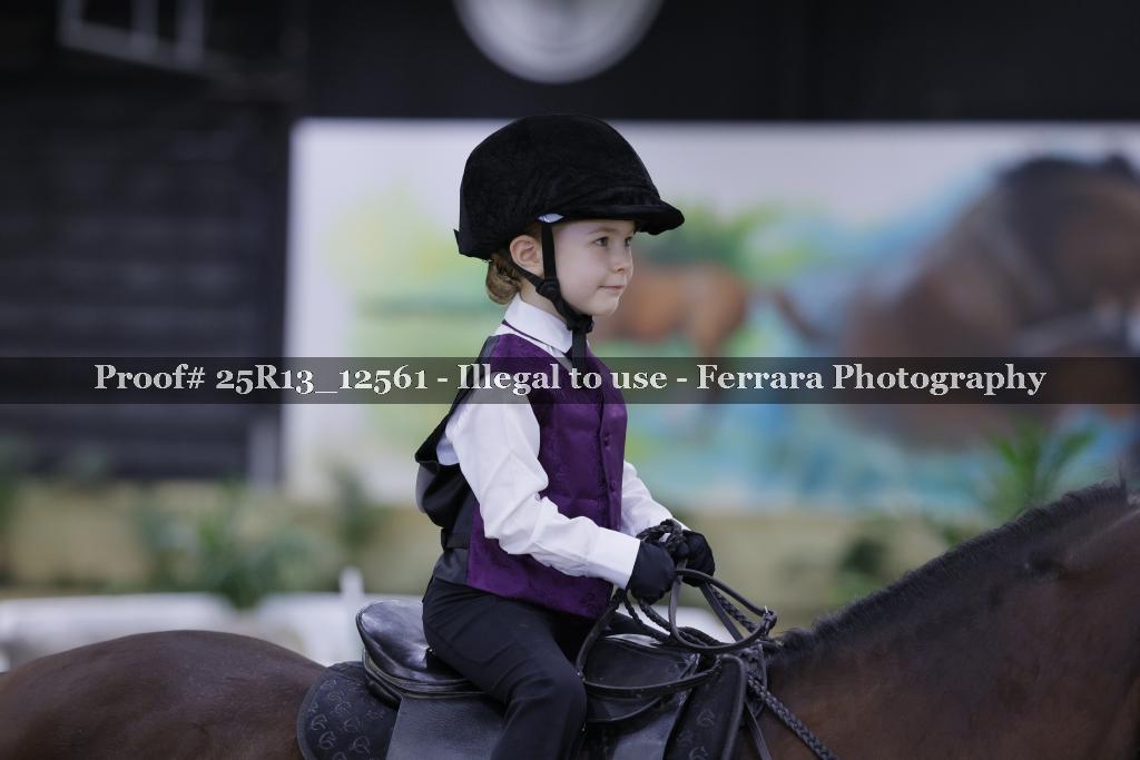 Proof 25R13_12561