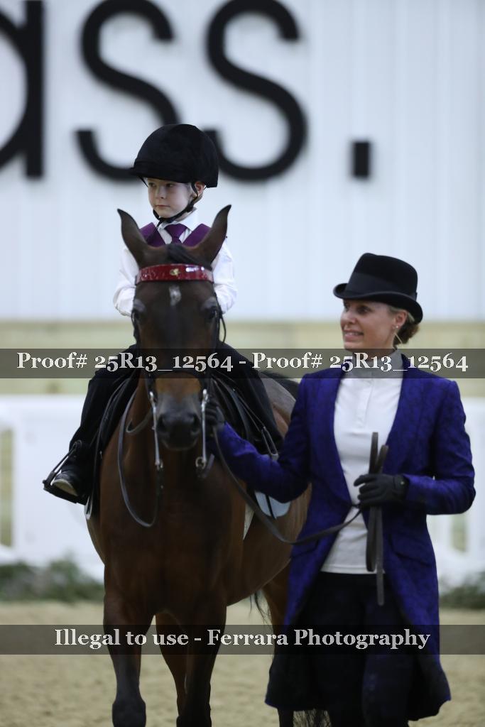 Proof 25R13_12564