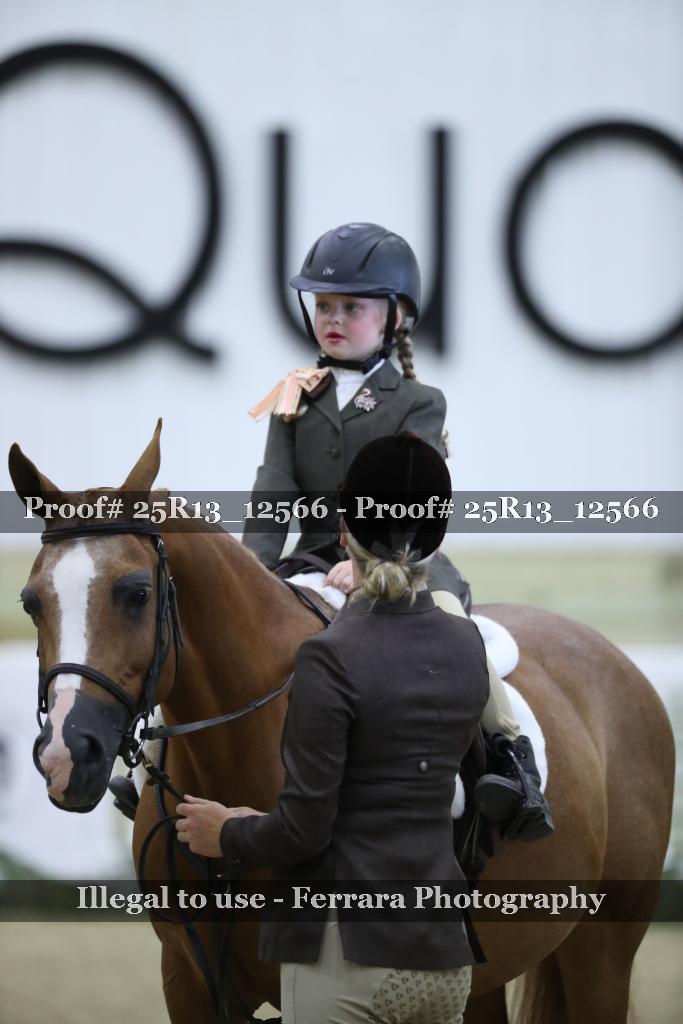 Proof 25R13_12566
