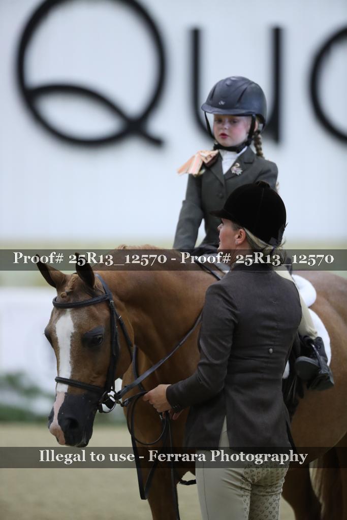 Proof 25R13_12570