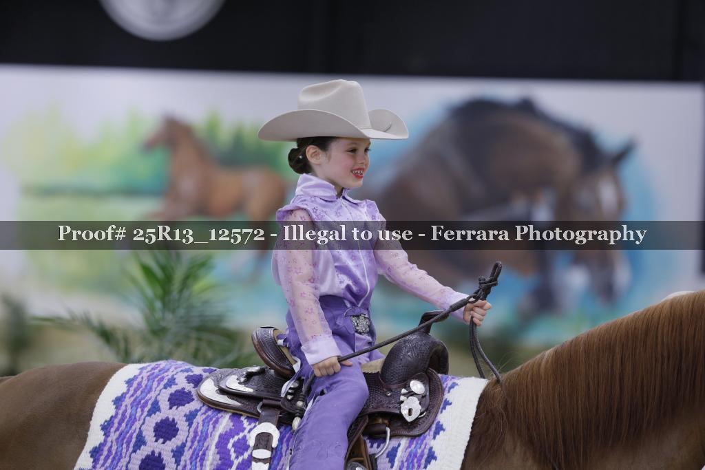 Proof 25R13_12572