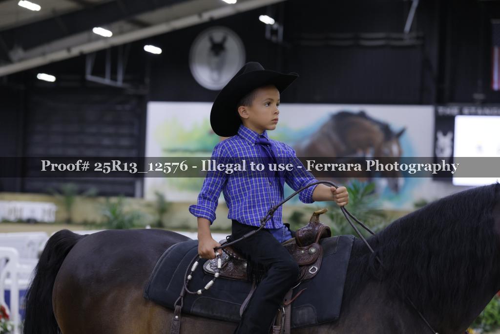 Proof 25R13_12576