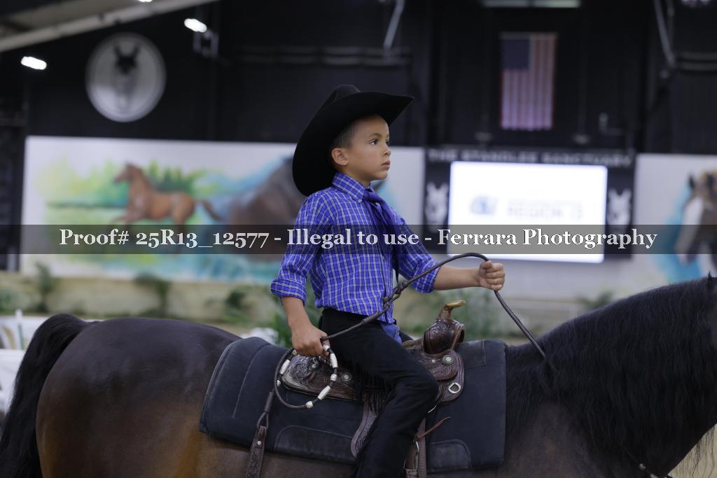 Proof 25R13_12577