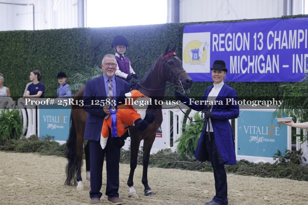 Proof 25R13_12583