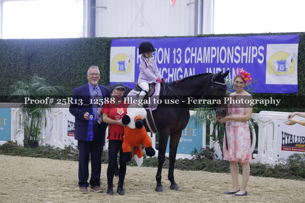 Proof 25R13_12588