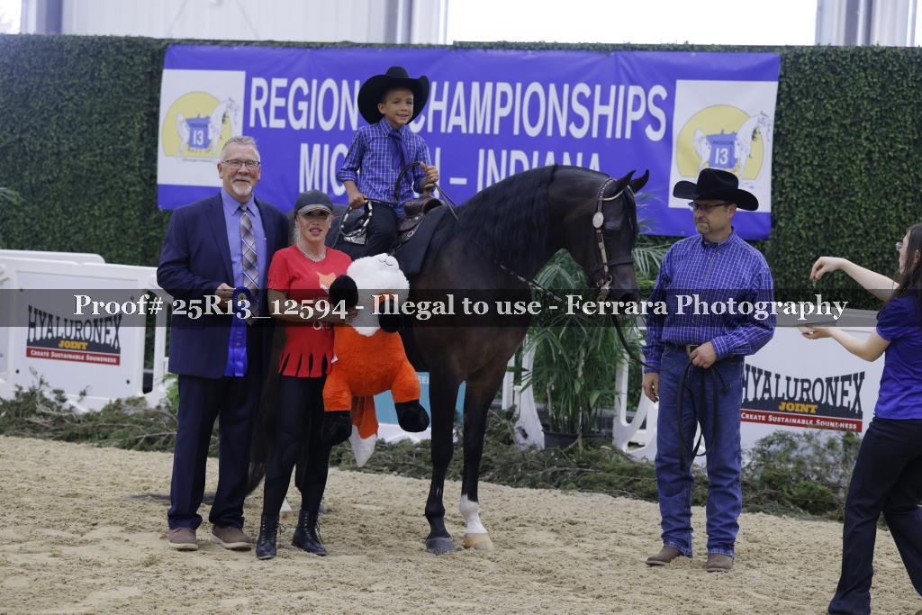 Proof 25R13_12594