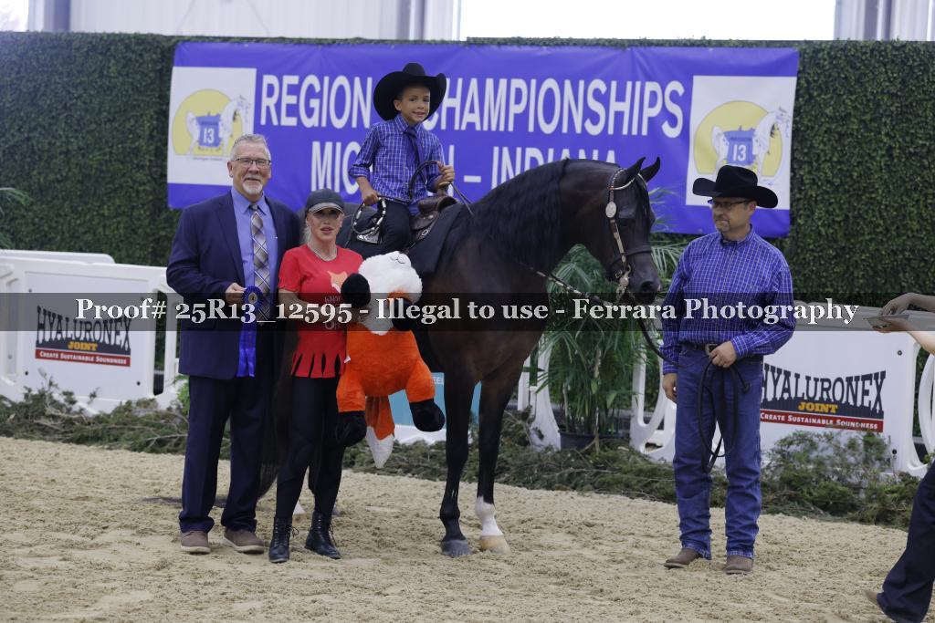 Proof 25R13_12595