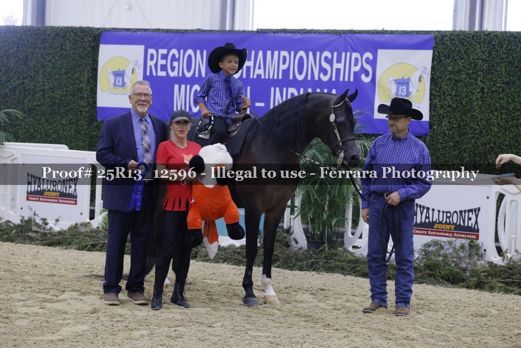 Proof 25R13_12596