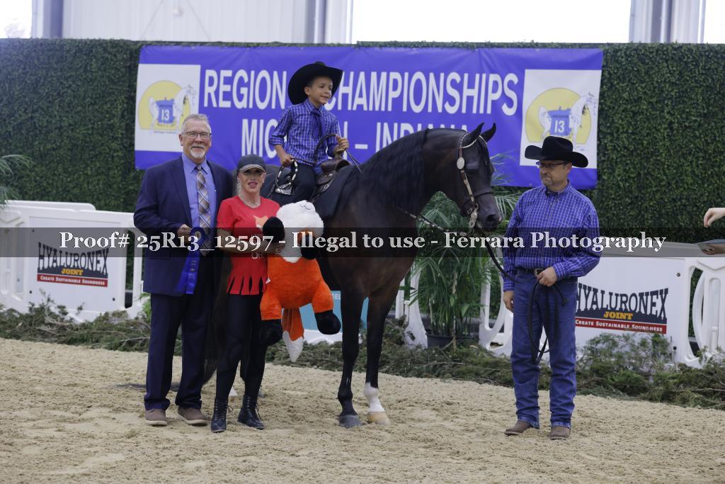 Proof 25R13_12597