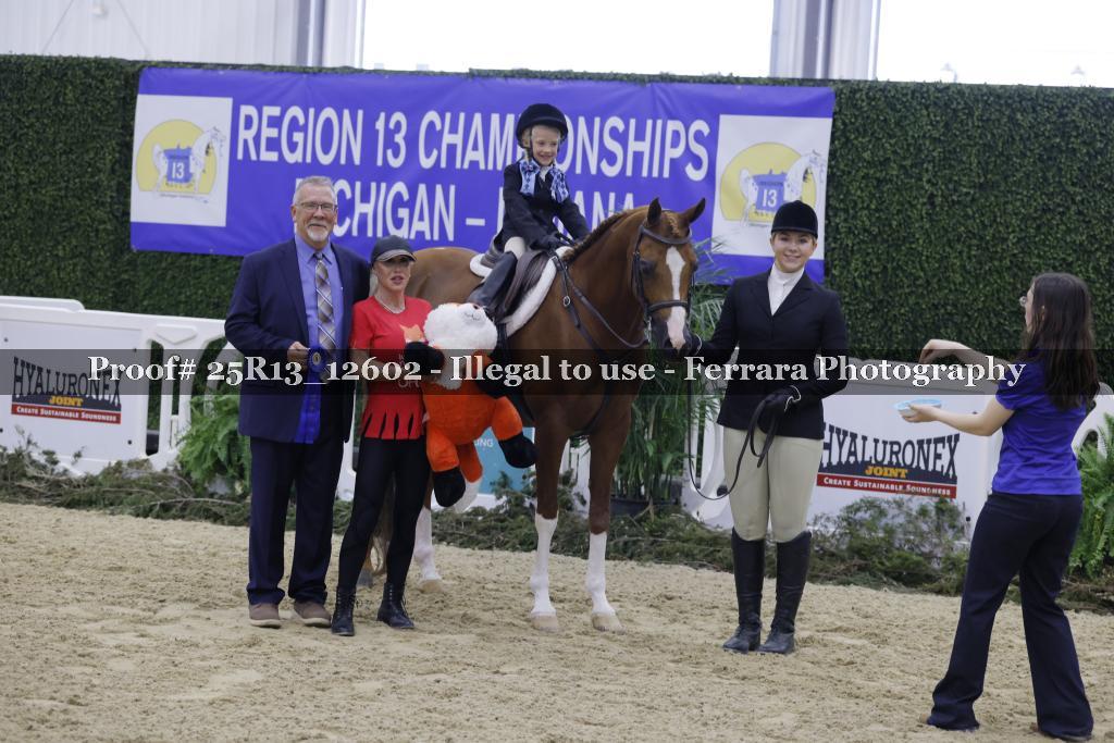 Proof 25R13_12602