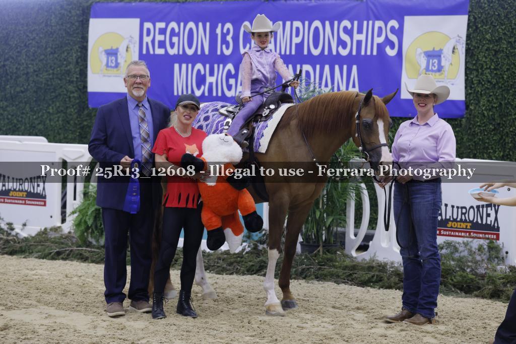 Proof 25R13_12608