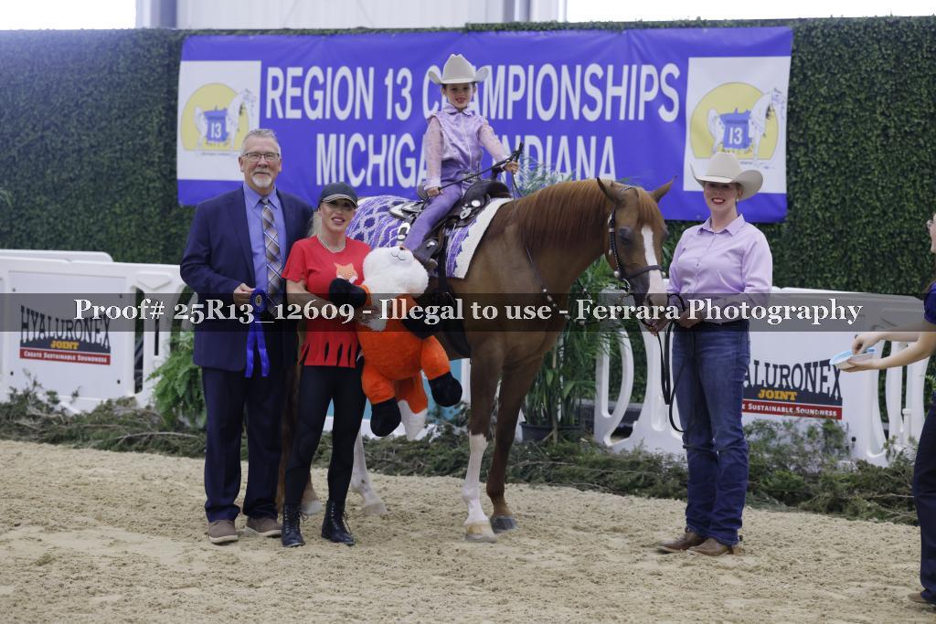 Proof 25R13_12609