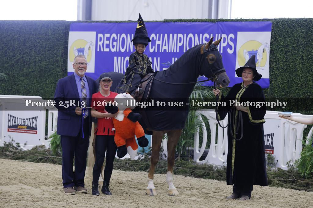 Proof 25R13_12610