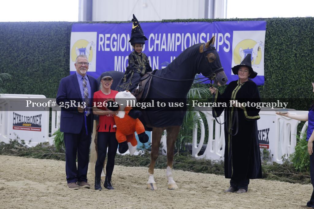 Proof 25R13_12612