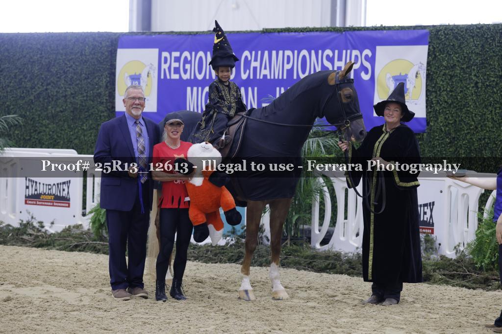 Proof 25R13_12613