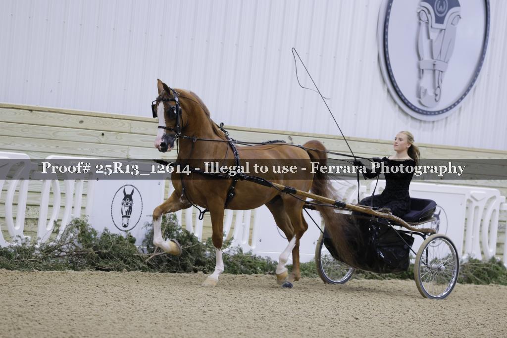Proof 25R13_12614