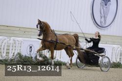 25R13_12614 proof