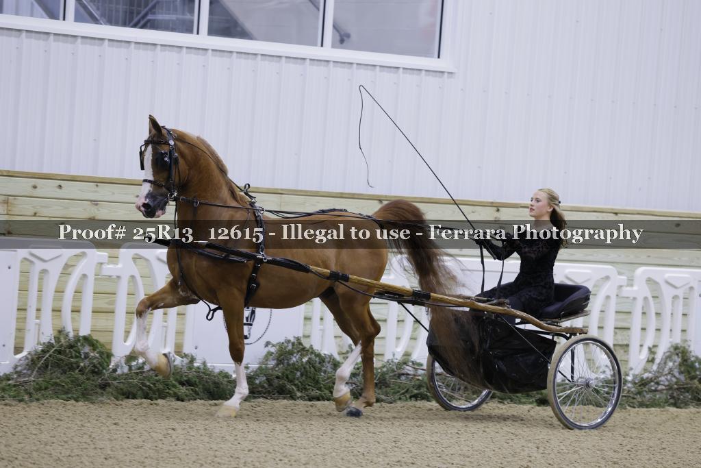Proof 25R13_12615