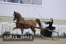 25R13_12615 proof