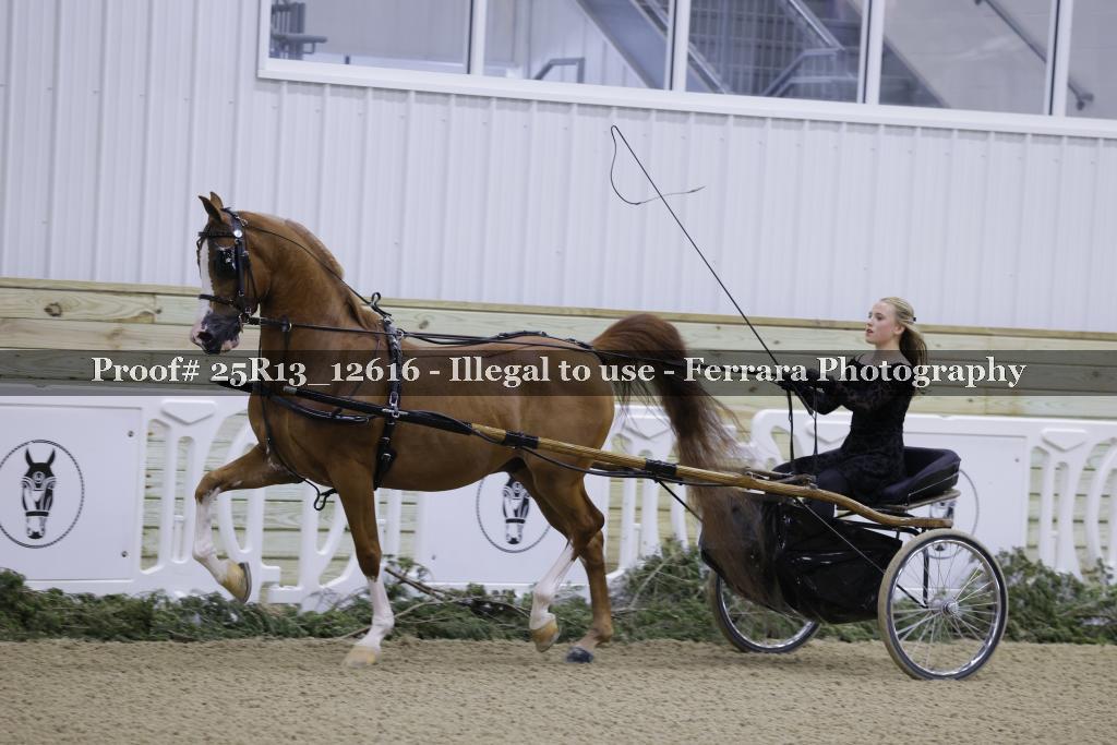 Proof 25R13_12616