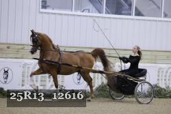 25R13_12616 proof