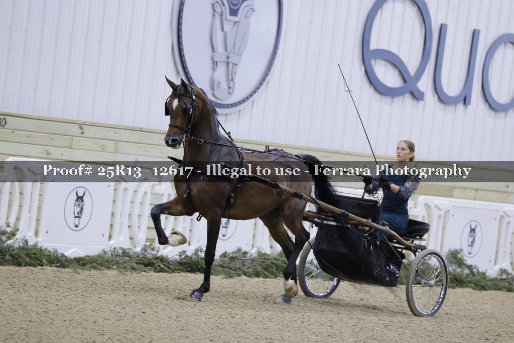 Proof 25R13_12617