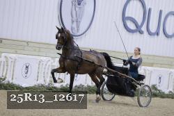 25R13_12617 proof