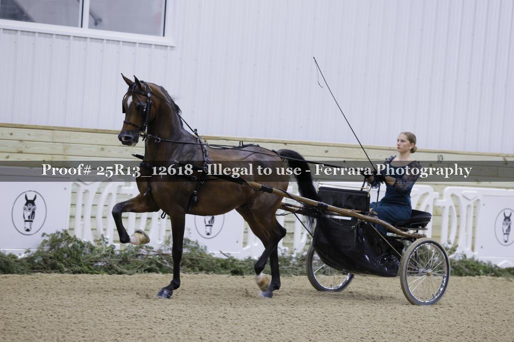 Proof 25R13_12618