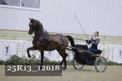 25R13_12618 proof