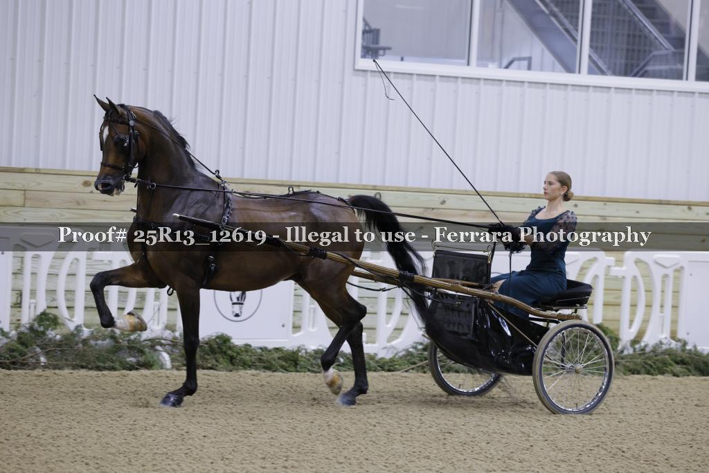 Proof 25R13_12619