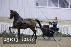 25R13_12619 proof