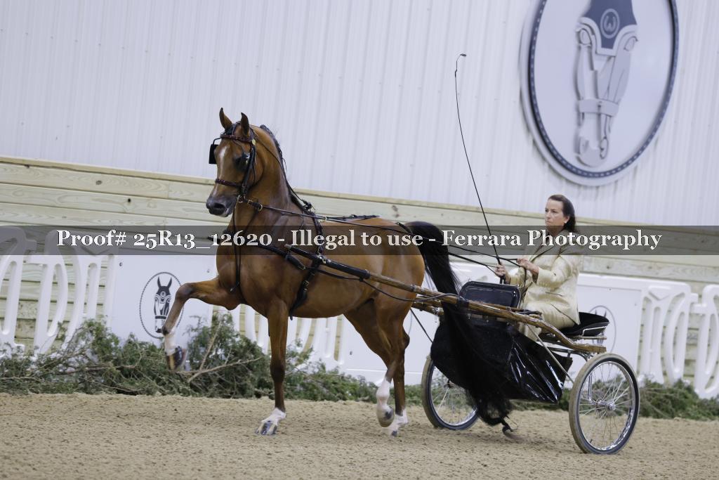 Proof 25R13_12620