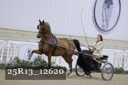 25R13_12620 proof
