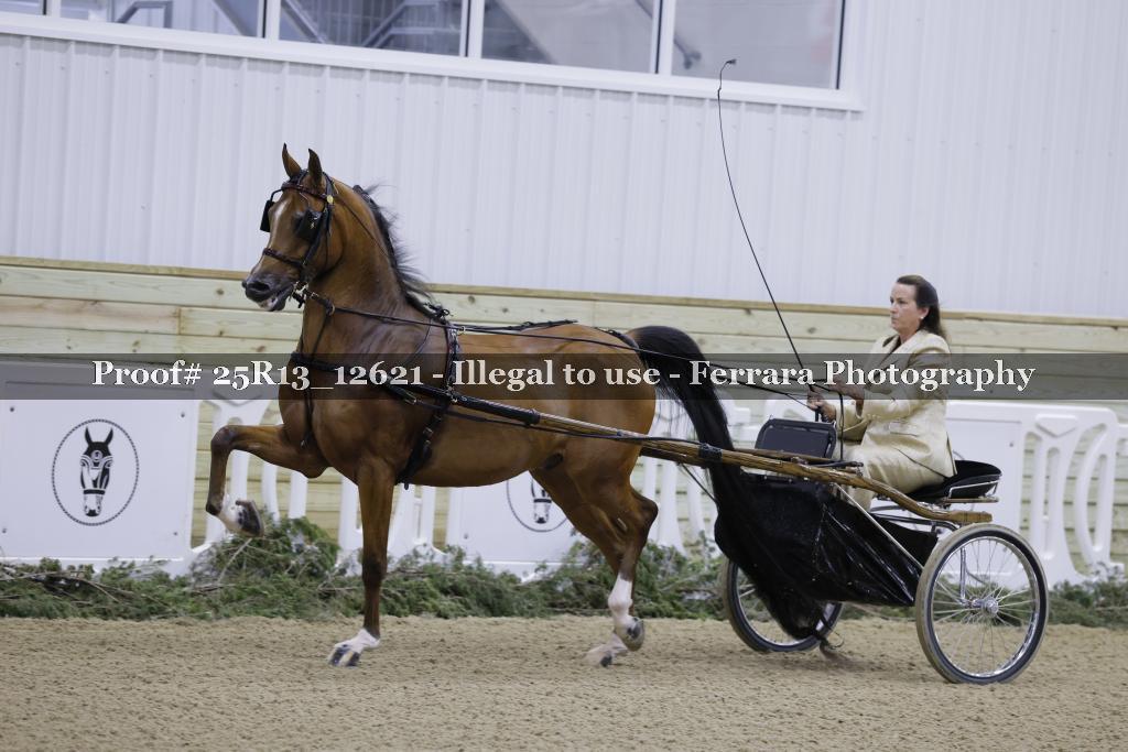 Proof 25R13_12621
