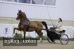25R13_12621 proof