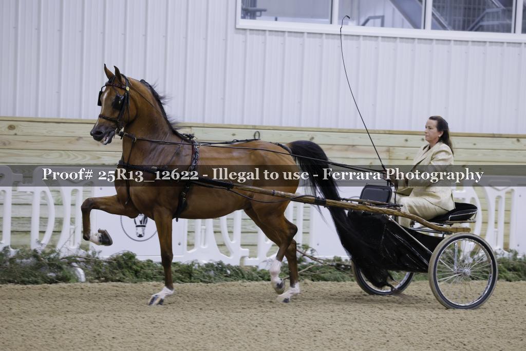 Proof 25R13_12622