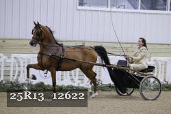 25R13_12622 proof