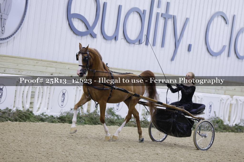 Proof 25R13_12623