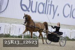 25R13_12623 proof