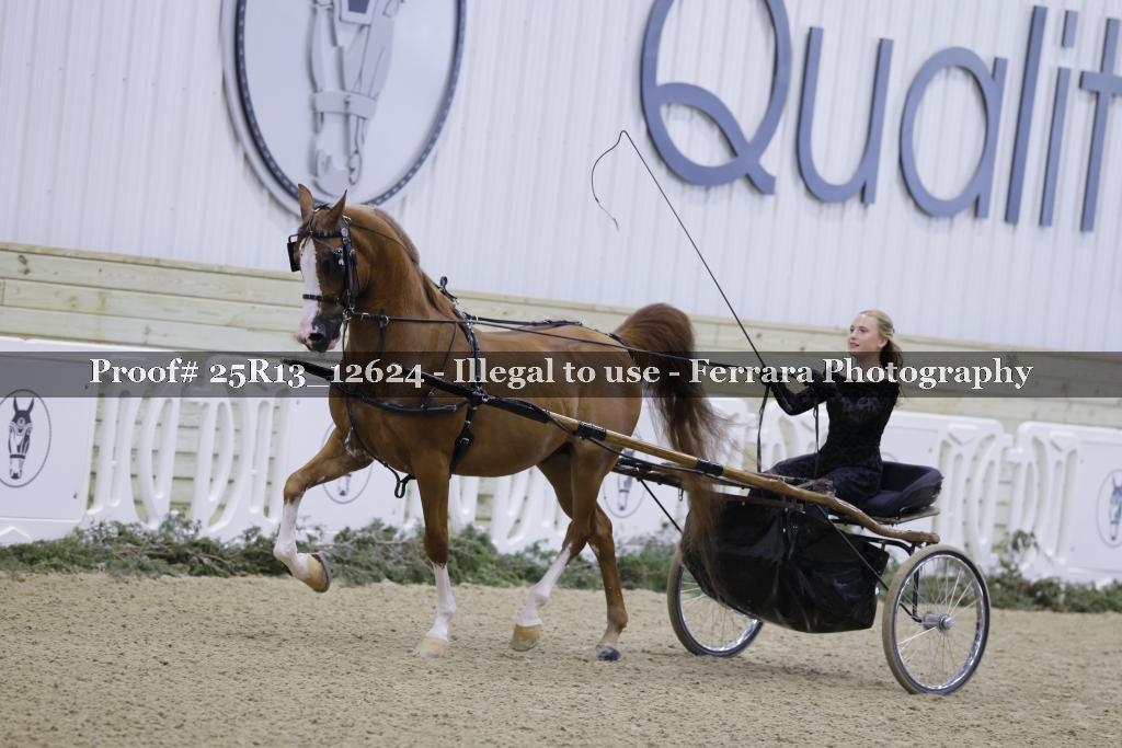 Proof 25R13_12624