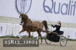 25R13_12624 proof