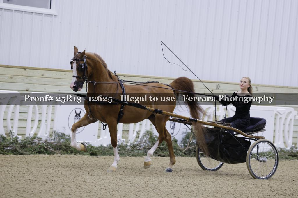 Proof 25R13_12625