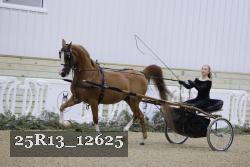 25R13_12625 proof