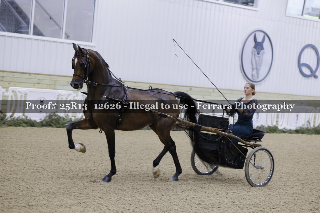 Proof 25R13_12626